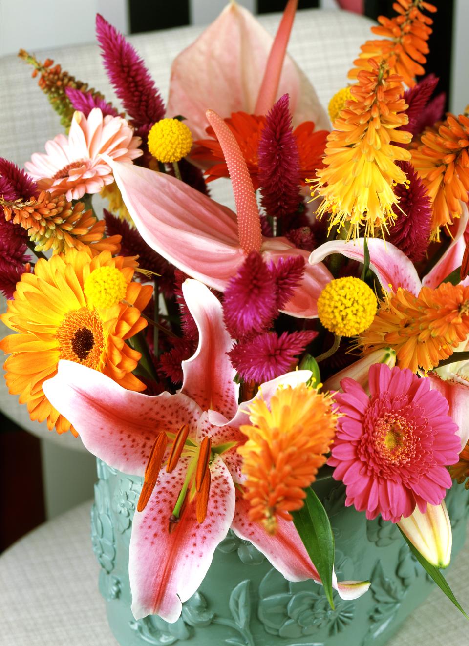 Le lys Caliente ! lajoiedesfleurs.fr lys fifa coupe du monde