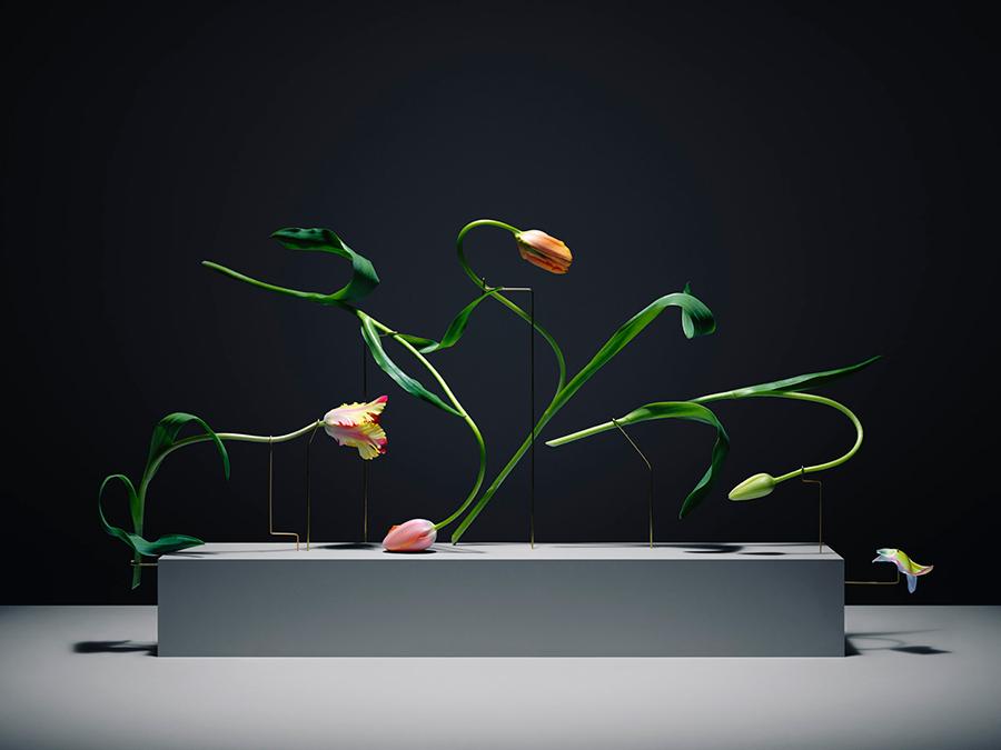 Lajoiedesfleurs.fr Le yoga des tulipes Lajoiedesfleurs.fr yoga tulipes art