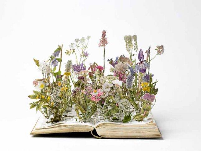 lajoiedesfleurs.fr Les livres-jardins de Su Blackwell lajoiedesfleurs.fr fleurs jardin livre Su Blackwell
