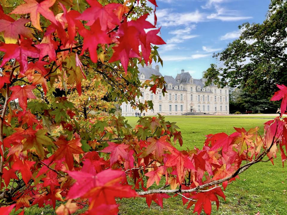 Château de Cheverny 