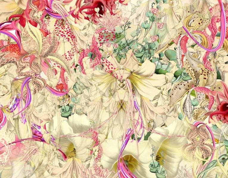 lajoiedesfleurs.fr Un herbier pop lajoiedesfleurs.fr herbier, pop, beau, fleurs, Bozka, orchidée, botanique,illustration