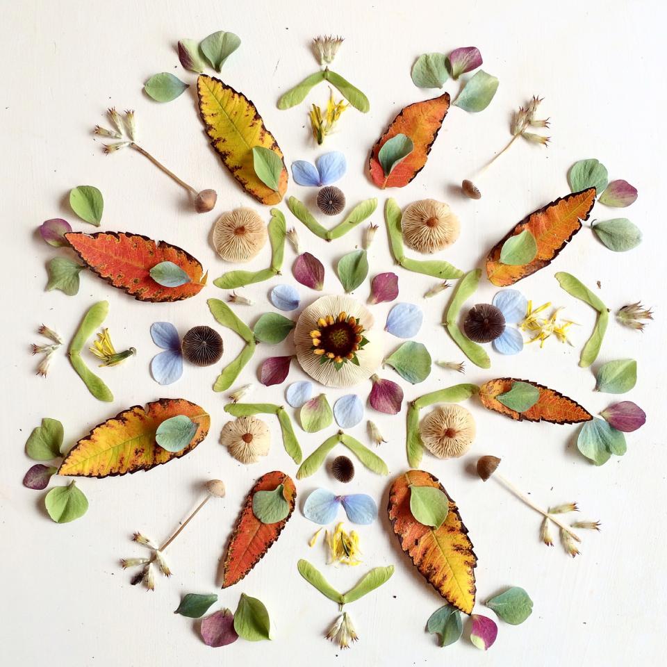 lajoiedesfleurs.fr La Fée des Fleurs lajoiedesfleurs.fr fleurs pétale art dessin