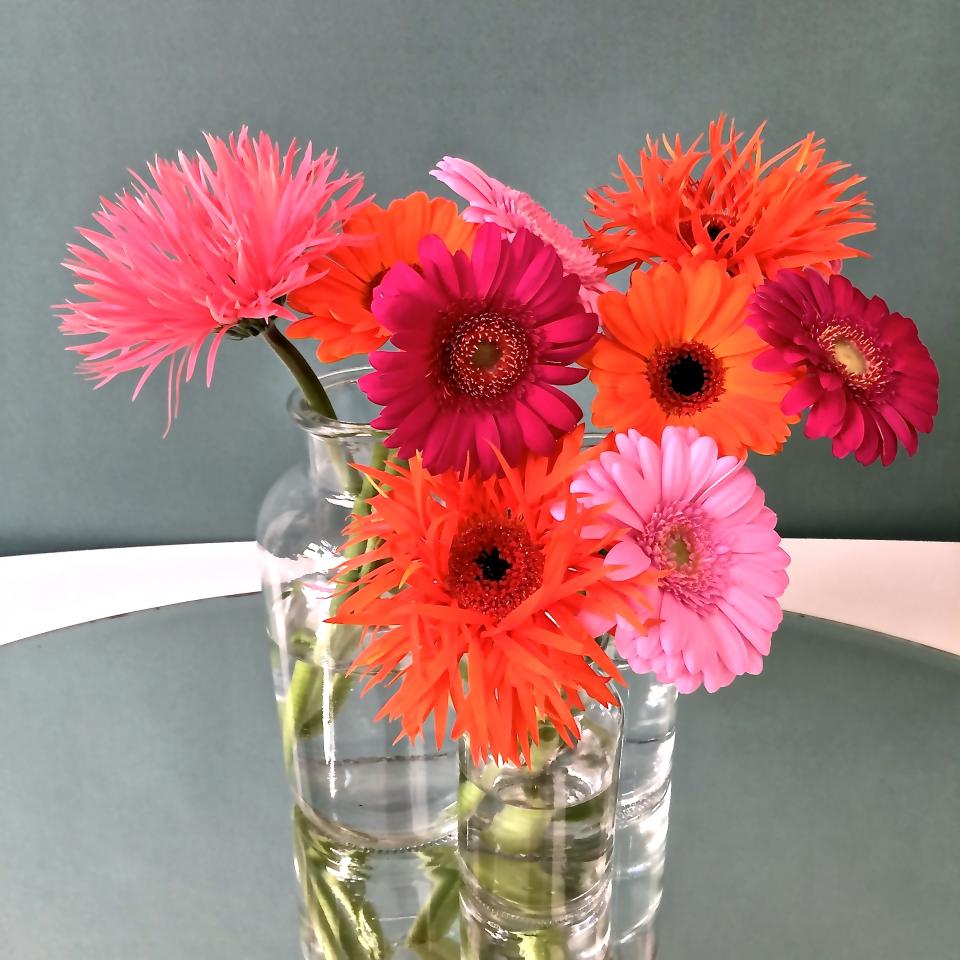 lajoiedesfleurs.fr Une explosion de gerberas lajoiedesfleurs.fr couleurs gerbera fleurs vase