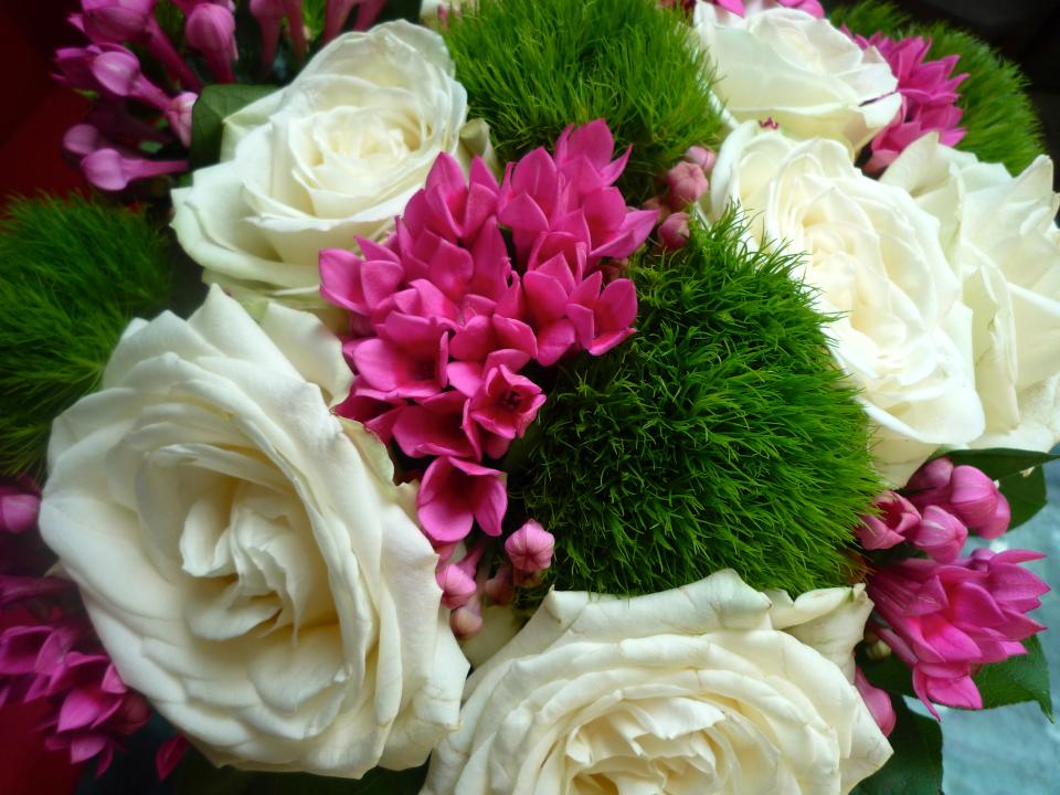 lajoiedesfleurs.fr La bouvardia, pétillante! lajoiedesfleurs.fr fleurs bouvardia