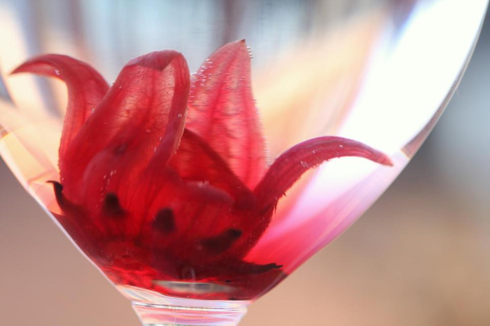 lajoiedesfleurs.fr champagne fleuri lajoiedesfleurs.fr Du champagne fleuri hibiscus