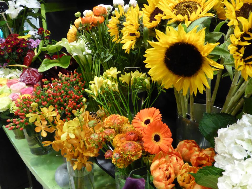 lajoiedesfleurs.fr Couleurs fleurs lajoiedesfleurs.fr fleurs couleurs
