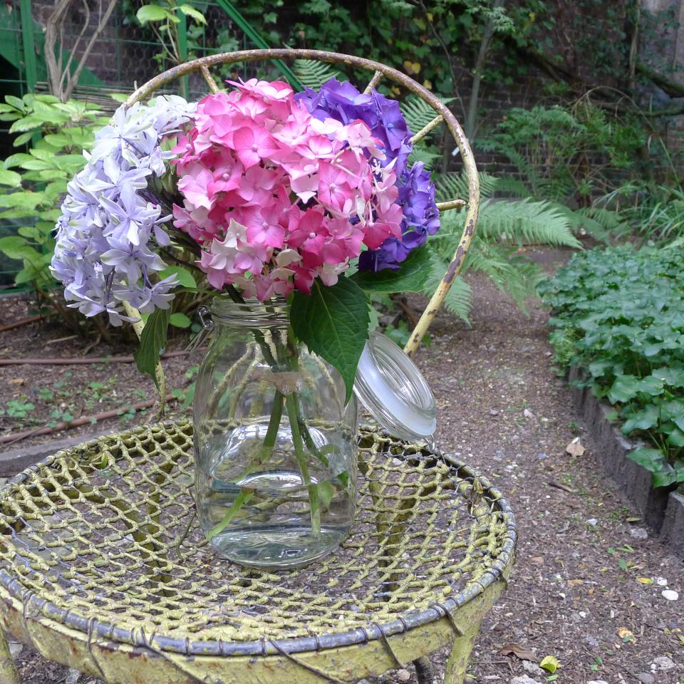 lajoiedesfleurs.fr Confitures d’Hortensia: Et si on essayait ? lajoiedesfleurs.fr Confitures Hortensia DIY