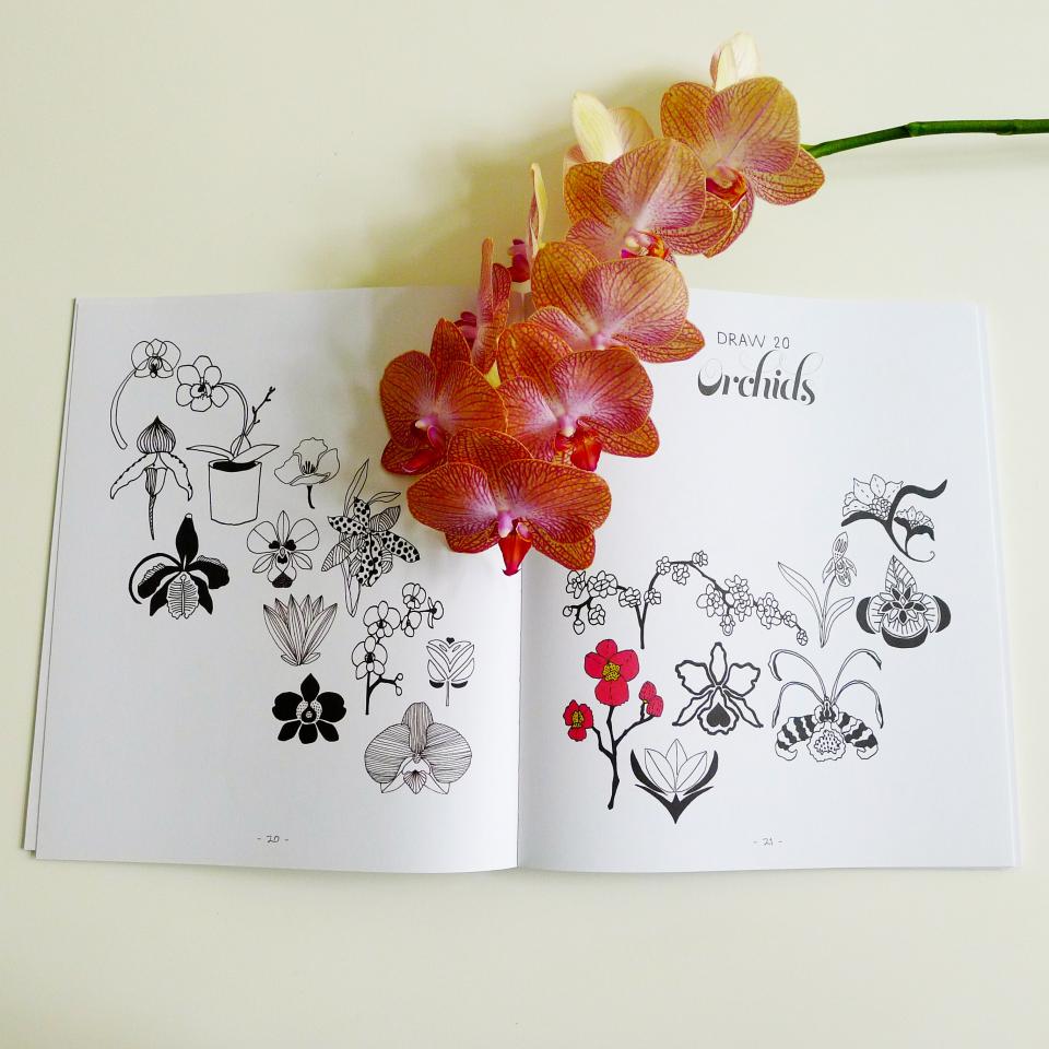 lajoiedeslfeurs.fr Dessine-moi une fleur—ou 20 ! lajoiedeslfeurs.fr lovre fleurs dessin tutoriel DIY