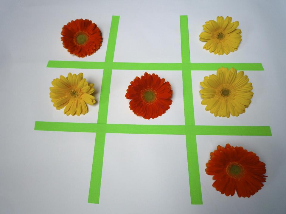 lajoiedesfleurs.fr jouer la gerbera lajoiedesfleurs.fr gerbera morpion jeu enfants