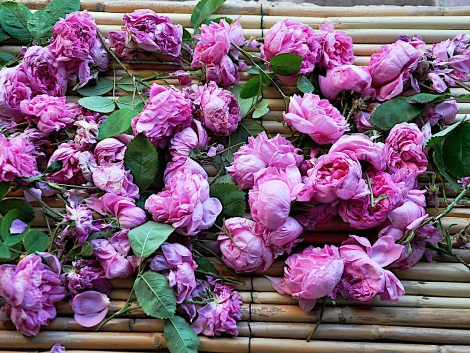 lajoiedesfleurs.fr L'amour pour toujours lajoiedesfleurs.fr petal, fleurs, roses, parfum, diy, joie, création, amour, amoureux, offrir, cadeau, habitat