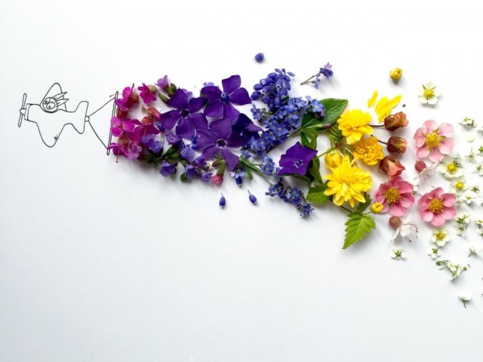 lajoiedesfleurs.fr Un petit monde de pétales lajoiedesfleurs.fr illustratrice, Kerstin Hiestermann, fleurs, dessins, monde, végétal, papillon, pétales, histoire