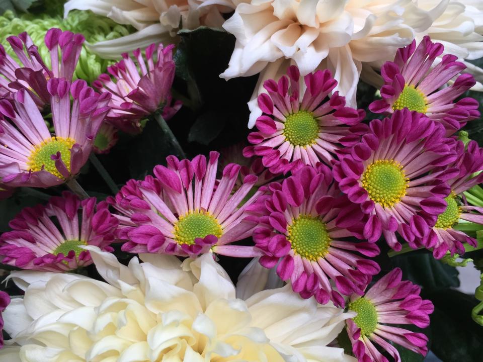 lajoiedesfleurs.fr Chrysanthèmes, bouquet, automne, beauté, pétales, porcelaine, fleurs préférées, couleurs, joyeux