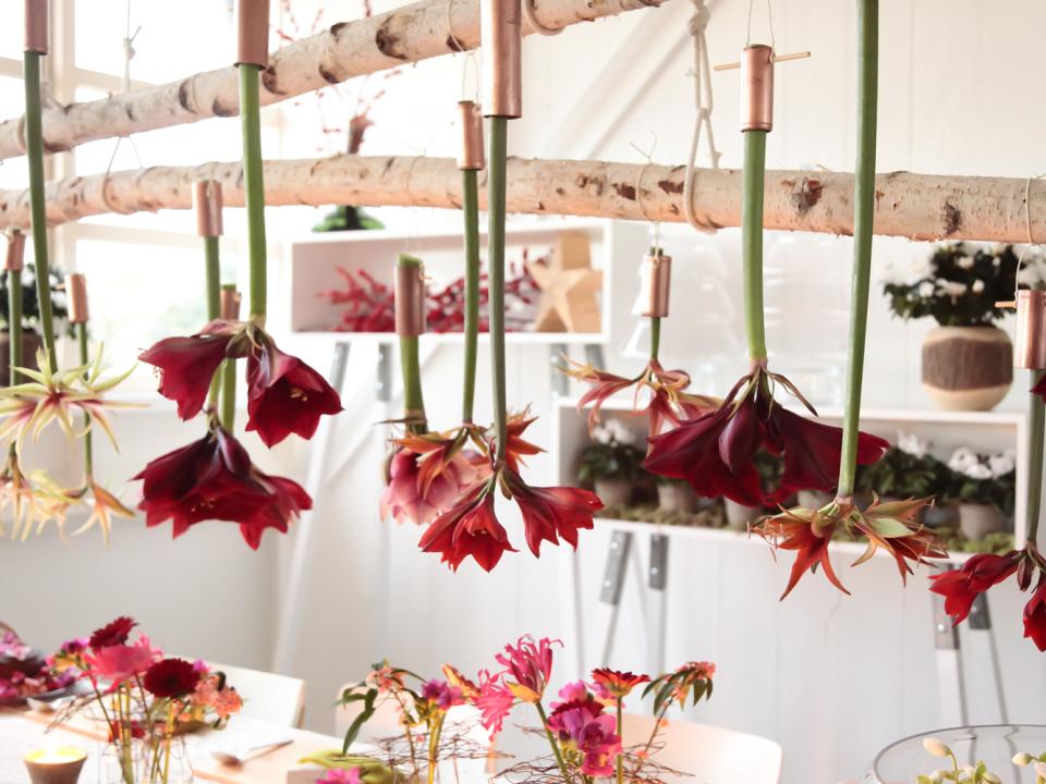 Creëer de perfecte kersttafel Amaryllis