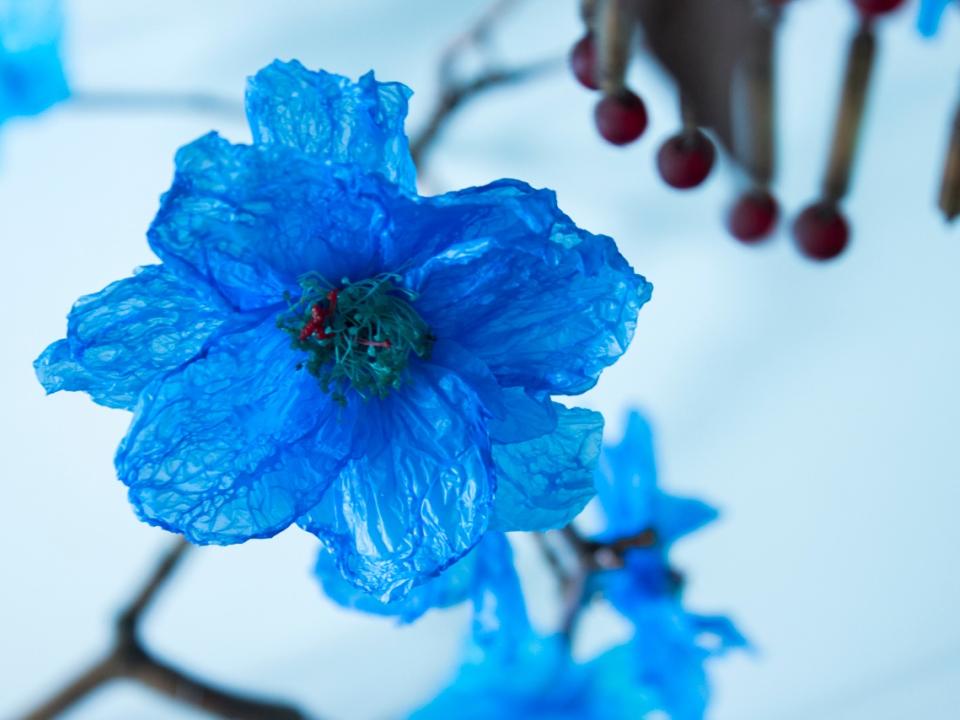 Branche  Fleur Bleue William Amor lajoiedesfleurs.fr gens, mode