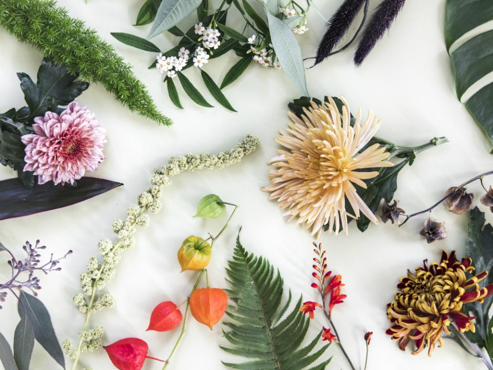 Un adieu élégant et convenable avec les chrysanthèmes Lajoiedesfleurs.fr