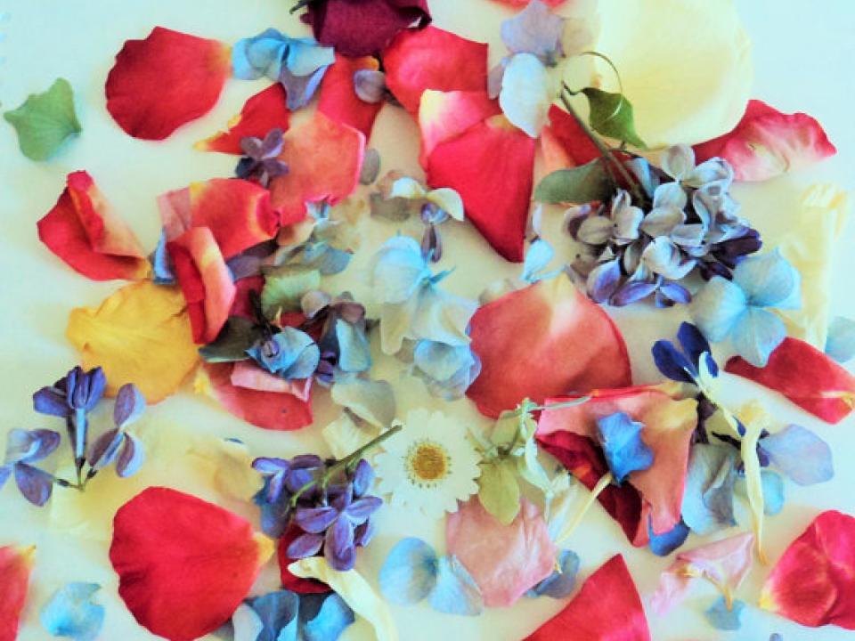 lajoiedesfleurs.fr Une pluie de pétales lajoiedesfleurs.fr petale art fleurs joie fete
