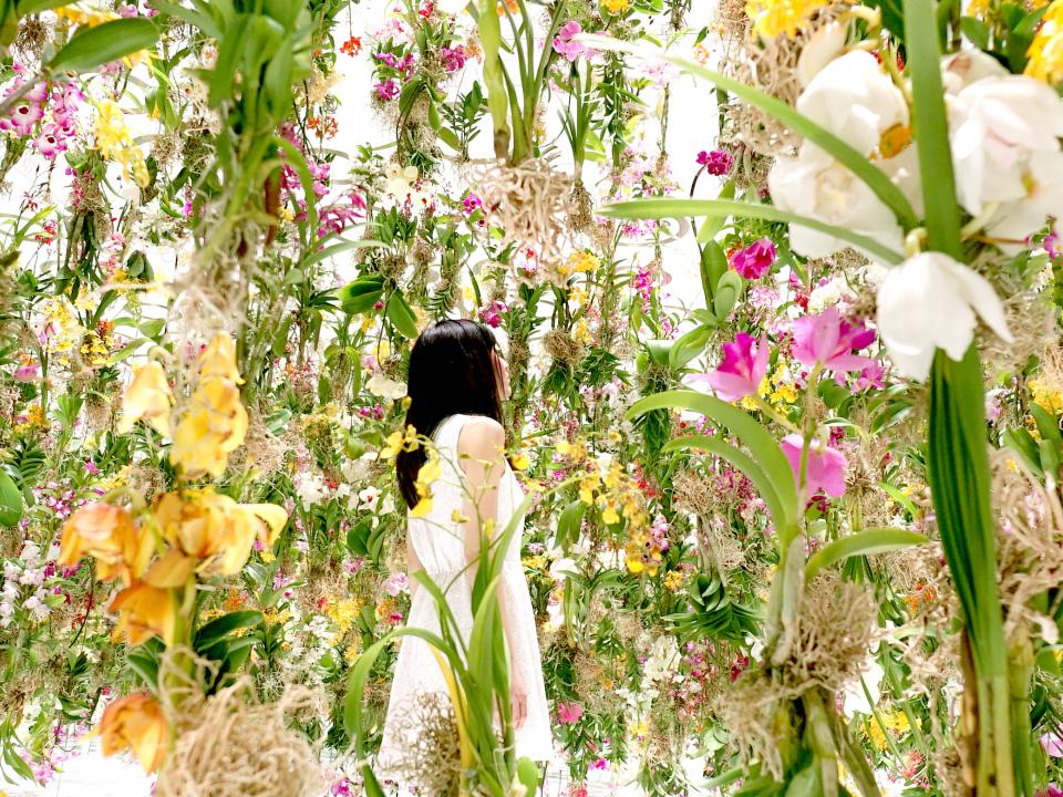 lajoiedesfleurs.fr Un Jardin Floral Zen lajoiedeslfeurs.fr fleurs suspendue team lab