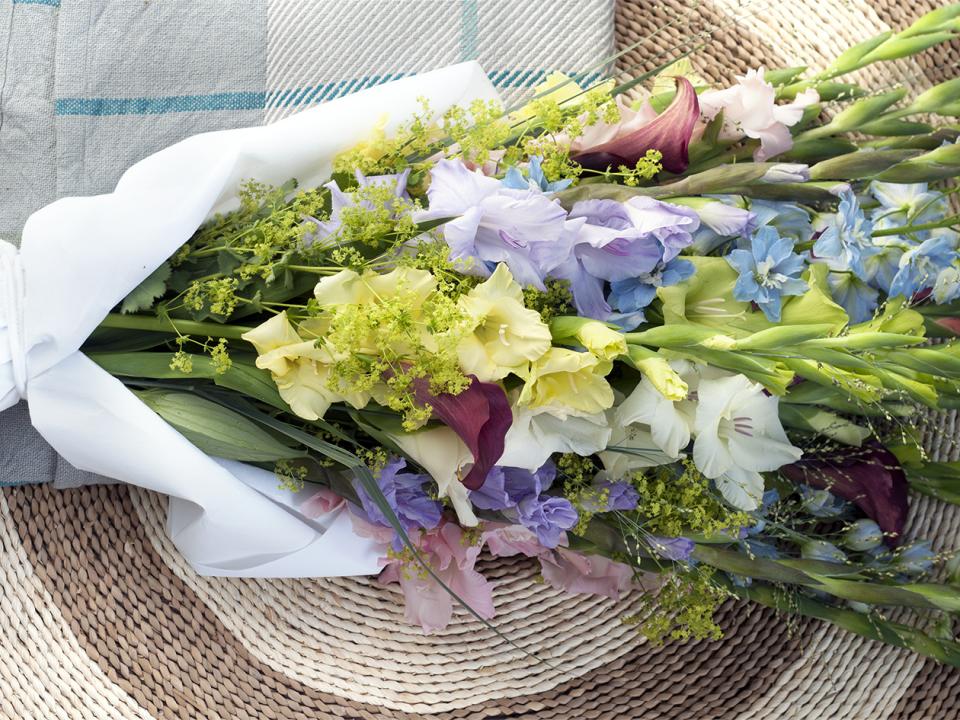 Gladiool Mooiwatbloemendoen Bloemenagenda De kracht van de gladiool Gladiool Mooiwatbloemendoen Bloemenagenda De kracht van de gladiool
