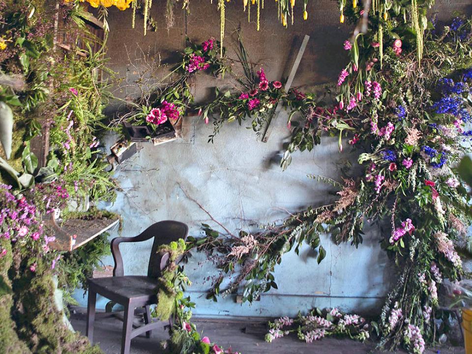 lajoiedesfleurs.fr Flower house lajoiedesfleurs.fr flower house, fleurs, plantes, maison, Lisa Waud, fleuriste, ruine, belle, artistes, visiteurs