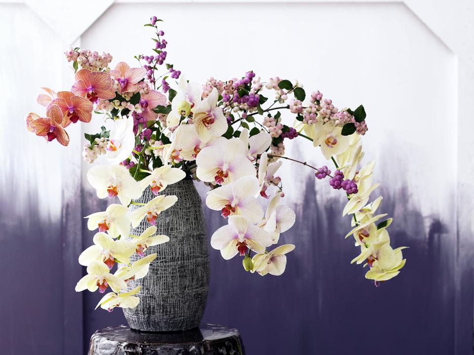 Orchidee Bloemenagenda Mooiwatbloemendoen Bloem van de liefde Orchidee Bloemenagenda Mooiwatbloemendoen Bloem van de liefde