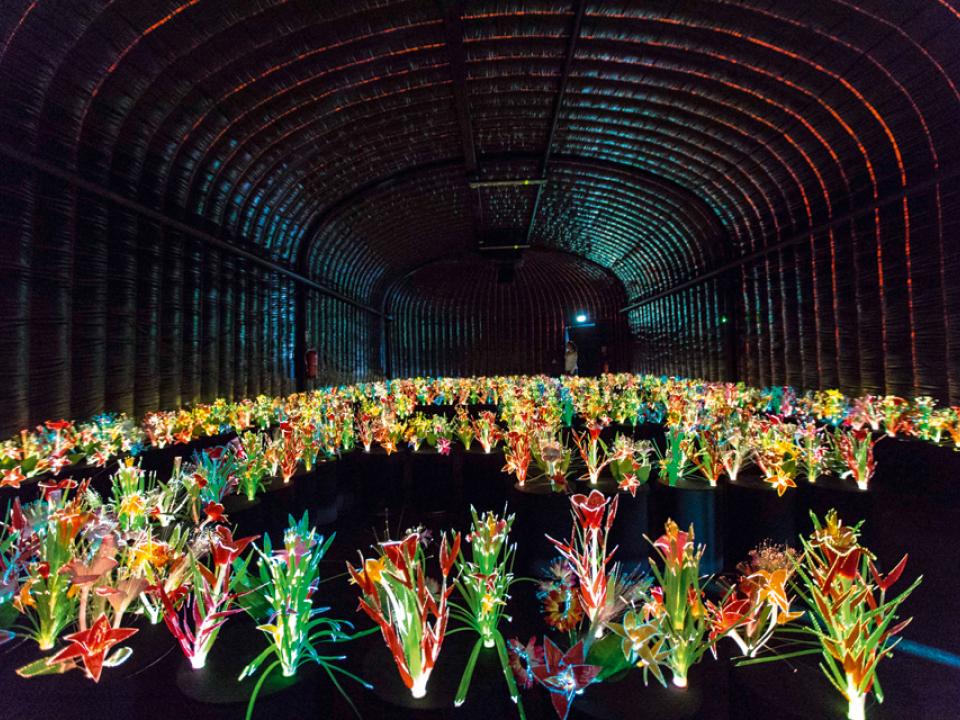 lajoiedesfleurs.fr fleurs lumineuse lajoiedesfleurs.fr fleurs lumineuse art