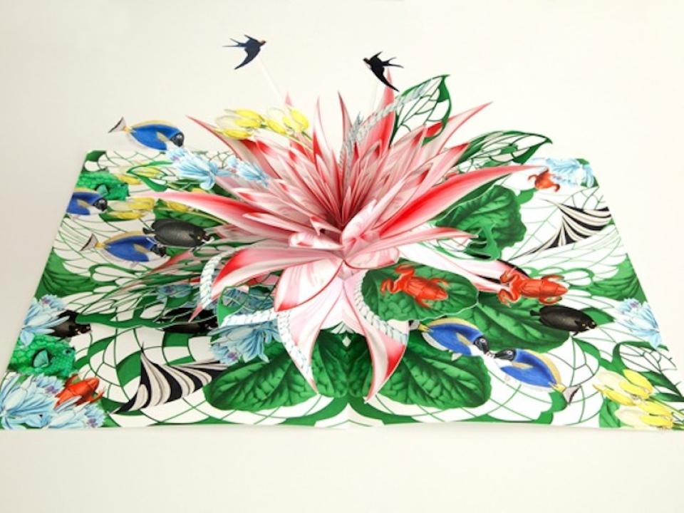 lajoiedesfleurs.fr Un herbier pop lajoiedesfleurs.fr herbier, pop, beau, fleurs, Bozka, orchidée, botanique,illustration