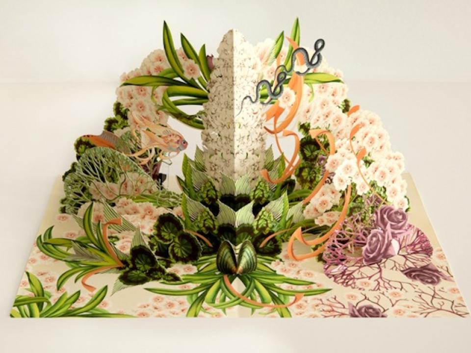 lajoiedesfleurs.fr Un herbier pop lajoiedesfleurs.fr herbier, pop, beau, fleurs, Bozka, orchidée, botanique,illustration