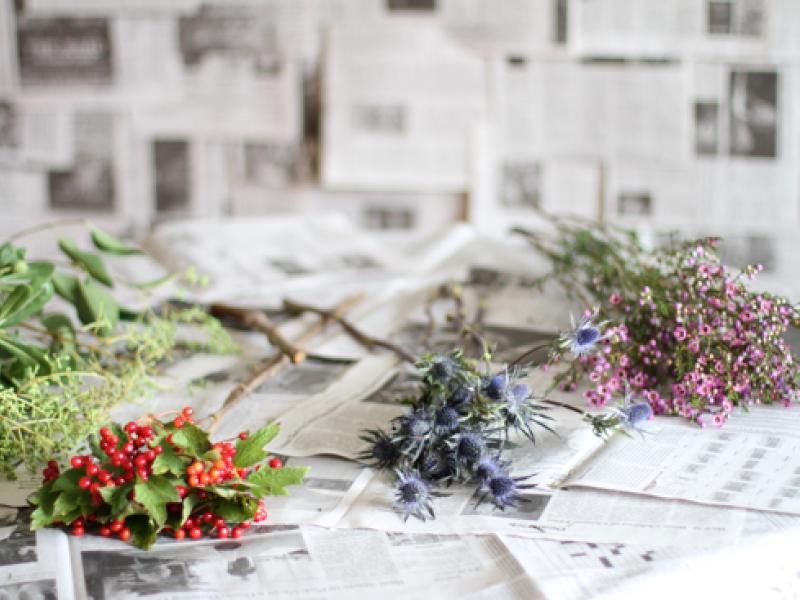 lajoiedesfleurs.fr Des fleurs qui illuminent lajoiedesfleurs.fr Des fleurs qui illuminent diy