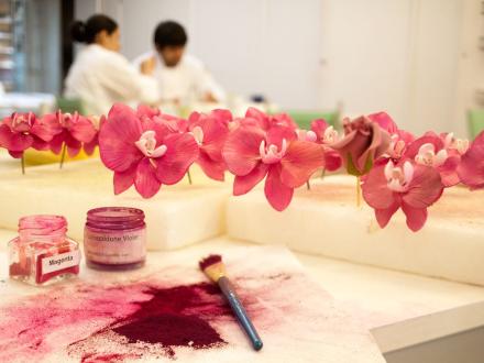lajoiedesfleurs.fr fleurs a croquer lajoiedesfleurs.fr fleur sucre orchidee