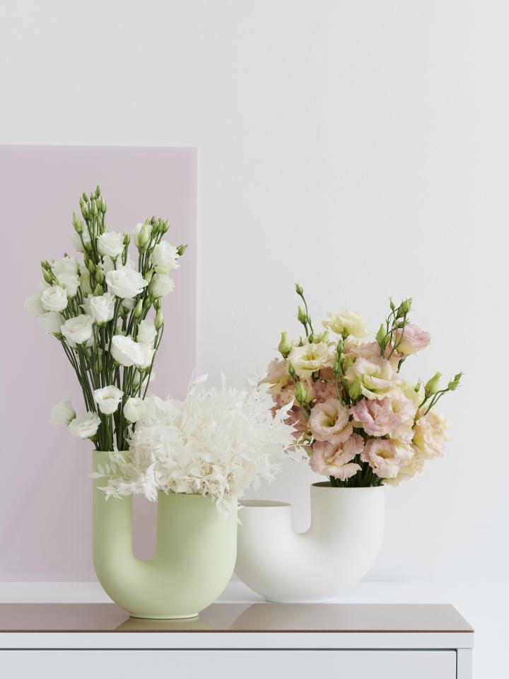 Lisianthus | La joie des fleurs