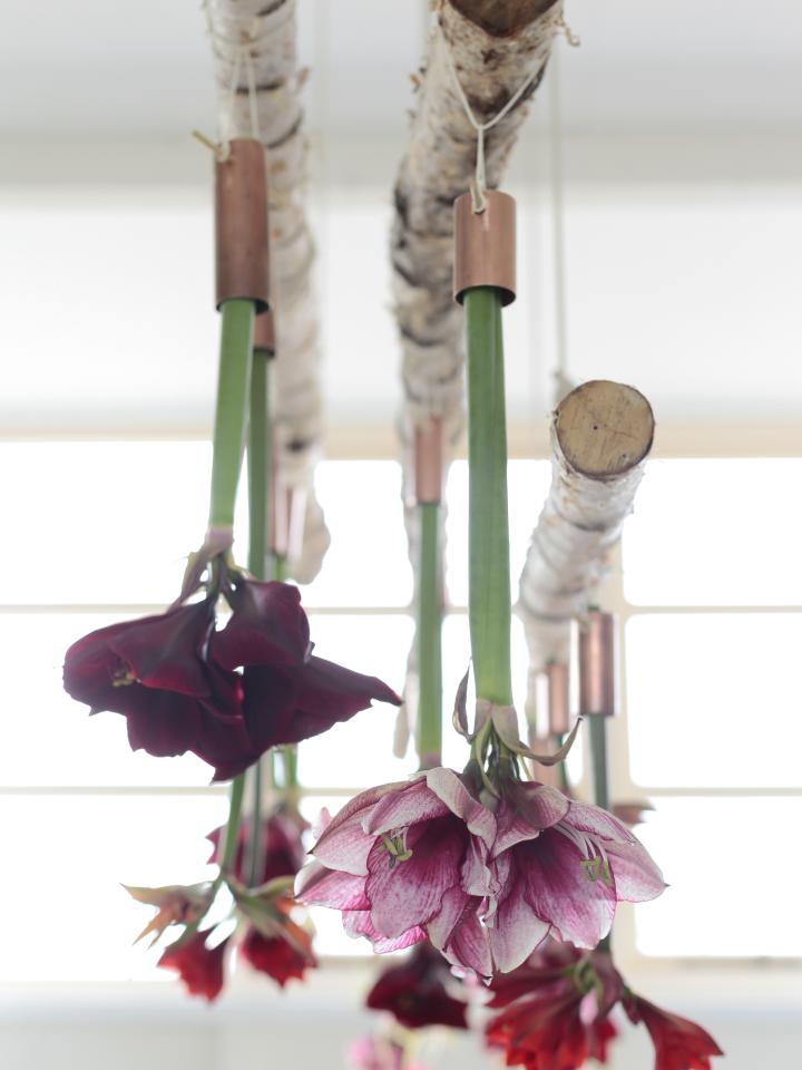 Creëer de perfecte kersttafel met de amaryllis Creëer de perfecte kersttafel Amaryllis