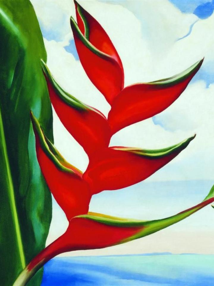 Georgia O’Keeffe - Heliconia _Lajoiedesfleurs.fr