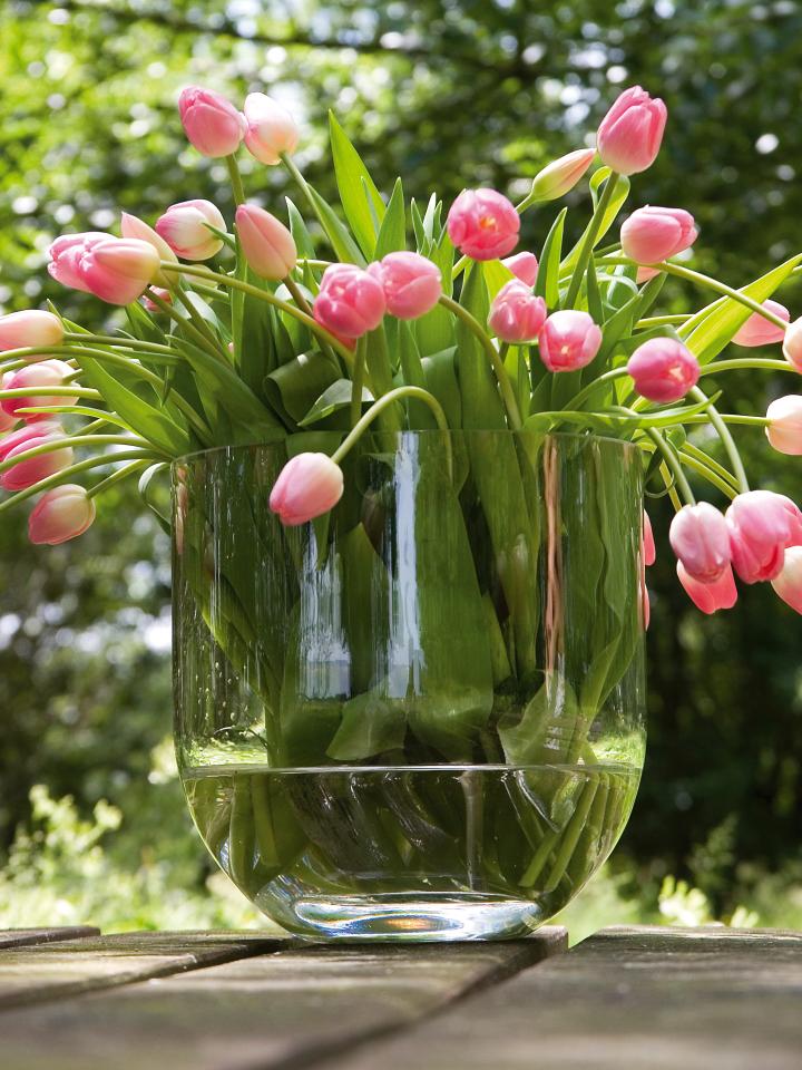 lajoiedesfleurs.fr tulipe