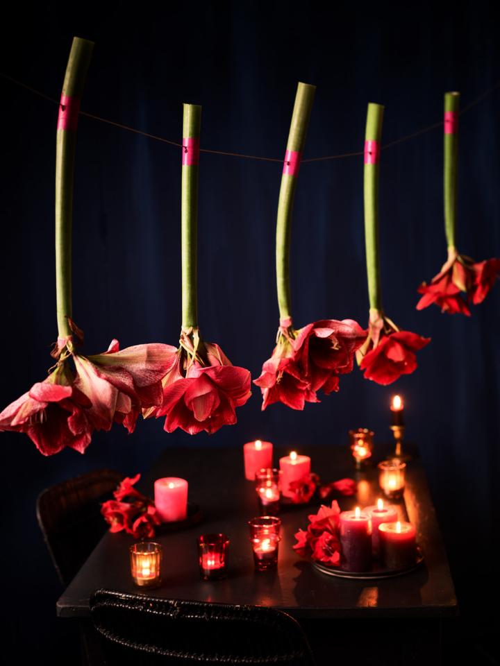 DIY : une décoration à l’amaryllis sur la table dressée Lajoiedesfleurs.fr