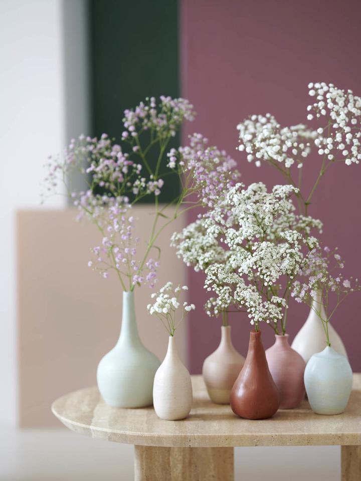 Gypsophile | La joie des fleurs