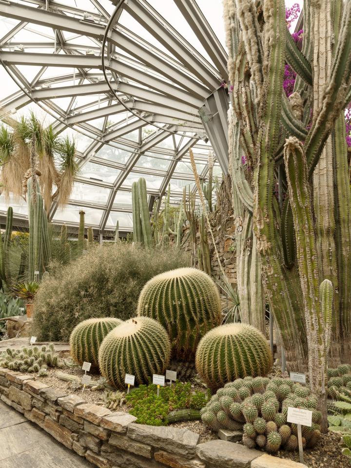 Botanische tuinen in Europa Exposé #08: Botanische tuinen in Europa Mooiwatbloemendoen.nl