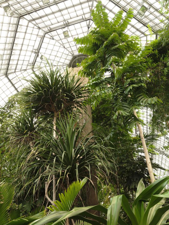 exposé #08: botanische tuinen in Europa Exposé #08: Botanische tuinen in Europa Mooiwatbloemendoen.nl