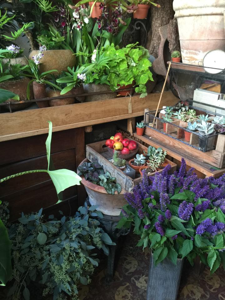 lajoiedesfleurs.fr La Cabane De Tom lajoiedesfleurs.fr fleuriste, quartier, paris, boutique, fleurs, jardin, secret, plante, beauté