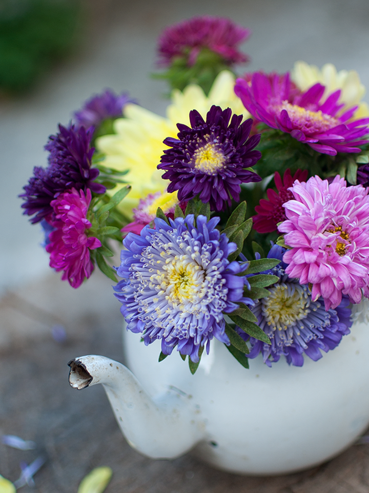lajoiedesfleurs.fr thé fleurs bouquet 