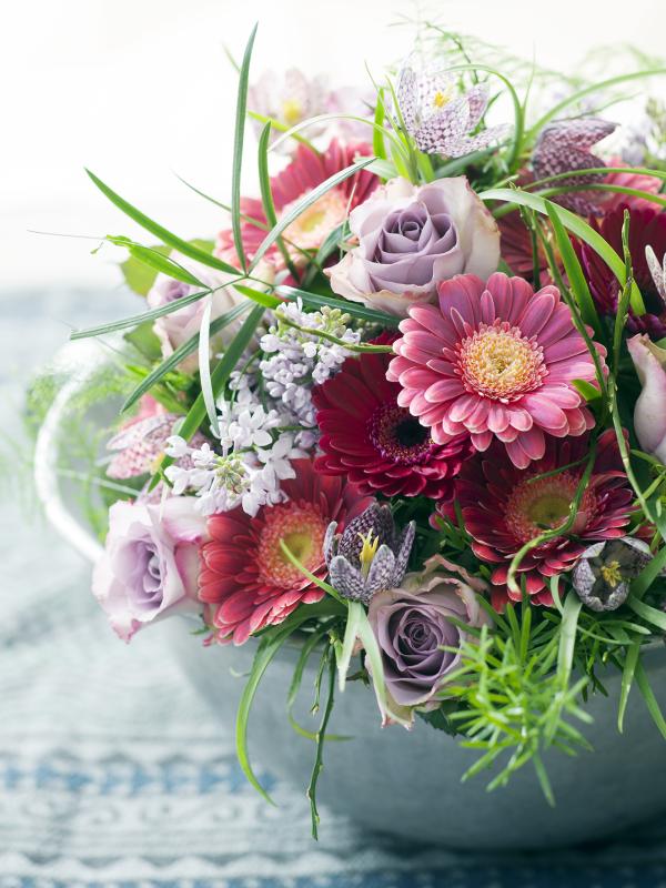 8 vragen en antwoorden over de prachtige gerbera Mooiwatbloemendoen.nl