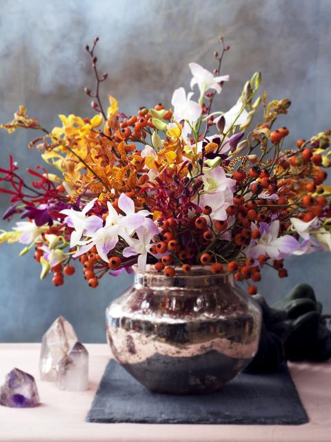 Orchidee Bloemenagenda Mooiwatbloemendoen Orchidee Bloemenagenda Mooiwatbloemendoen