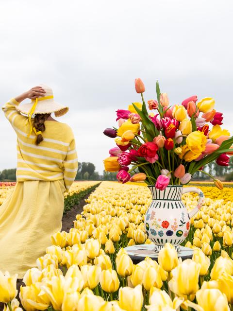 Fête des tulipes