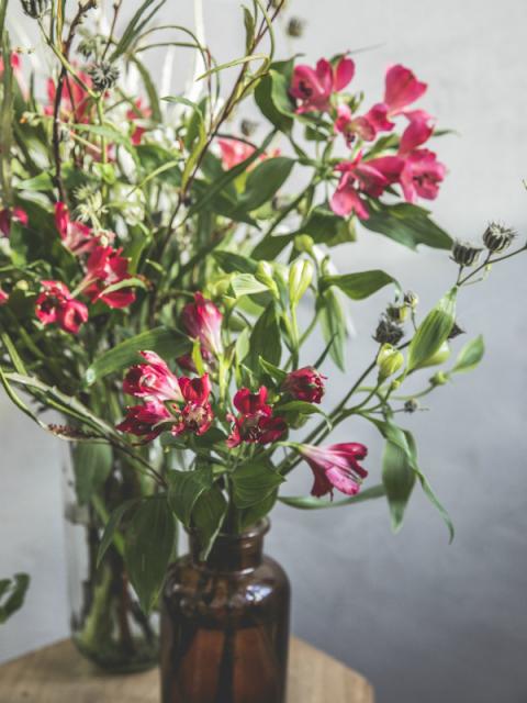 L’alstroemeria aux multiples talents Lajoiedesfleurs.fr