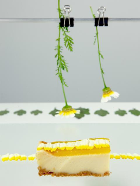 Rezept: Chrysanthemen-Cheesecake Tollwasblumenmachen.de