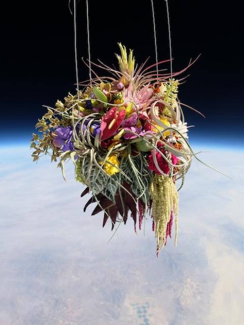 lajoiedesfleurs.fr fleurs projet fou espace lache