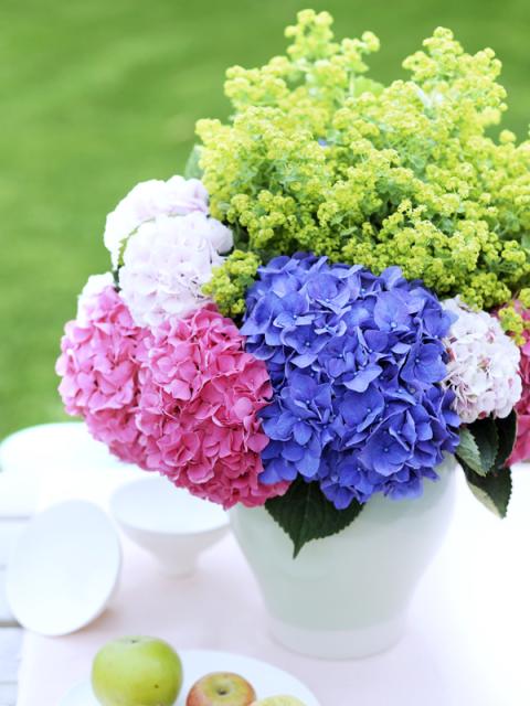 Stylingtips voor de hortensia