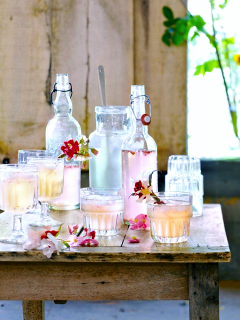 Recette : des bégonias dans votre verre Lajoiedesfleurs.fr