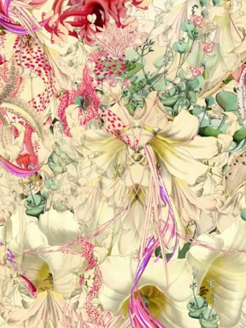 lajoiedesfleurs.fr herbier, pop, beau, fleurs, Bozka, orchidée, botanique,illustration